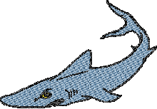 Shark Embroidery Design