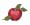 apple fruit embroidery designs for brother