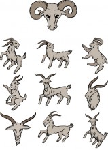 Goats in heraldic positions Embroidery designs-Embroiderydesigns.name