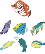 Tropical Fish Embroidery designs-Embroiderydesigns.name