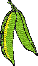 Free Peas Embroidery Design