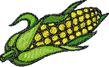 Corn Embroidery Design