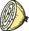 Onion Embroidery Design