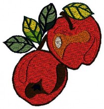 Free Embroidery designs -Embroiderydesigns.name