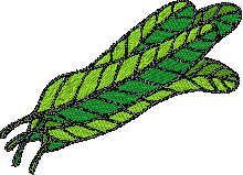 Free Leaves Embroidery Design