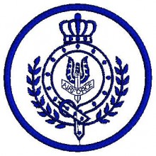 Air Force Logo Embroidery Design