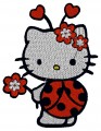 Lady Bug Kitty