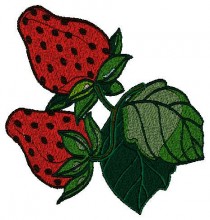 Free Embroidery designs -Embroiderydesigns.name