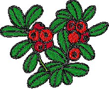 Fruit bernina free embroidery designs machine