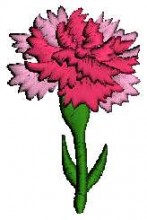 Flowers Embroidery Design