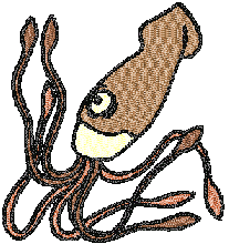 Squid Embroidery Design