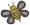 nice bee free machine embroidery designs