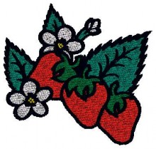 Free Embroidery designs -Embroiderydesigns.name