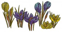 Border Embroidery Design