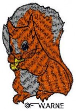 squirrel embroidery design