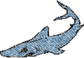 Shark Embroidery Design