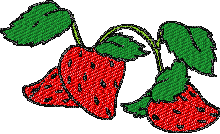 Strawberry bernina embroidery designs for babies