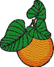 Free Orange Embroidery Design