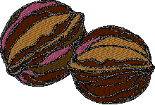 Walnut Embroidery Design