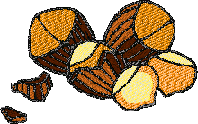 Free Nuts Embroidery Design