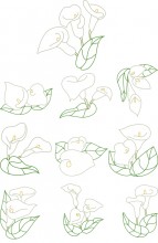 Calas embroidery Designs