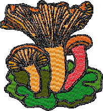 Free Mushrooms Embroidery Design