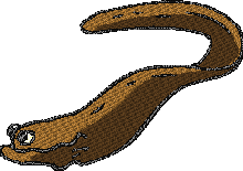 eel fish free embroidery designs download brother