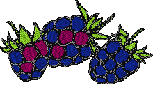 Fruit free pes free embroidery designs patterns