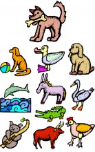 Animals embroidery Designs