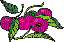 Fruit bernina free embroidery downloads for brother