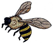 wasp free embroidery design download