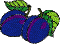 Free Plum Embroidery Design